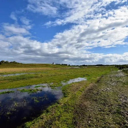 6 Person In Thyholm-by Traum *