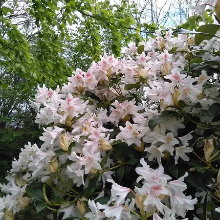 6 Person In Thyholm-by Traum *