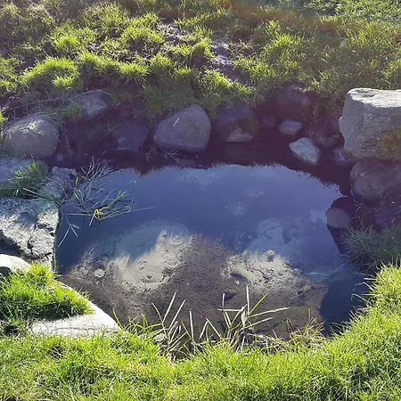 6 Person In Thyholm-by Traum *